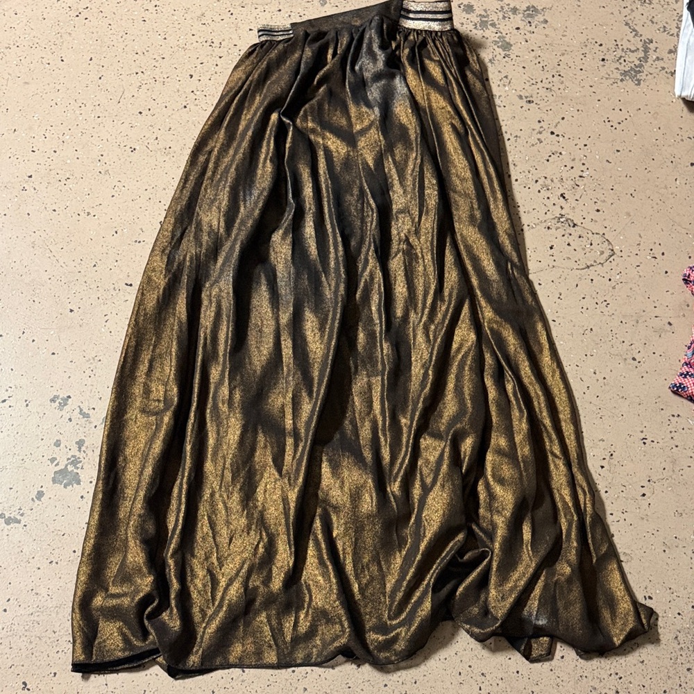 Lucy Paris Shimmering Gold Maxi Skirt